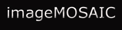imageMOSAIC